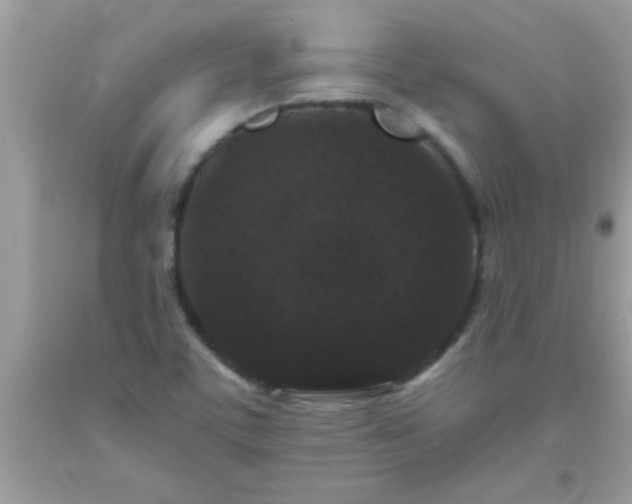 X0000093751459200710231222
