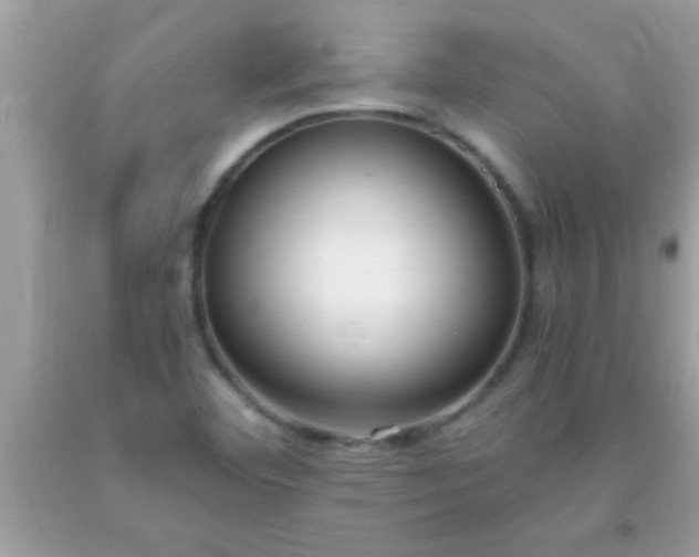 X0000093751460200710231222