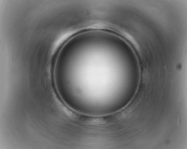 X0000093751464200710231222