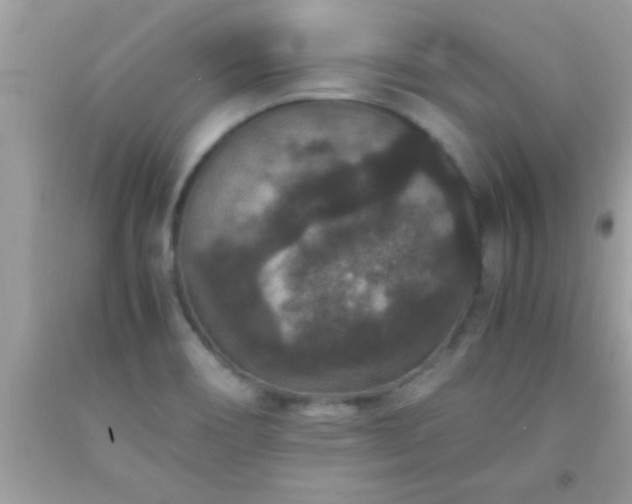X0000093751466200710231222