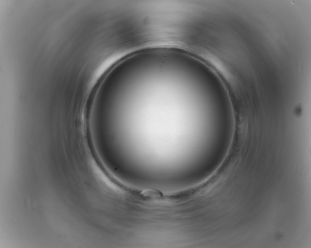 X0000093751468200710231222