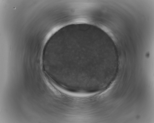 X0000093751469200710231222
