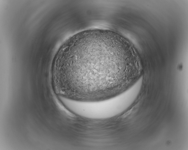 X0000093751471200710231222