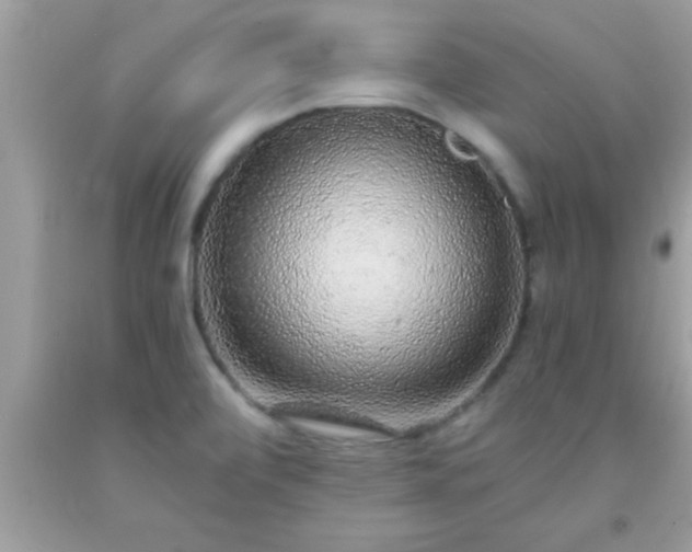 X0000093751472200710231222