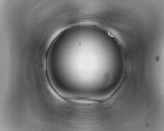 X0000093751476200710231222