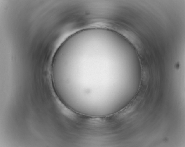 X0000093751478200710231222