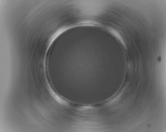X0000093751482200710231222