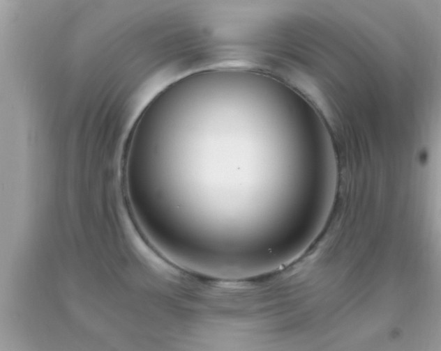 X0000093751483200710231222