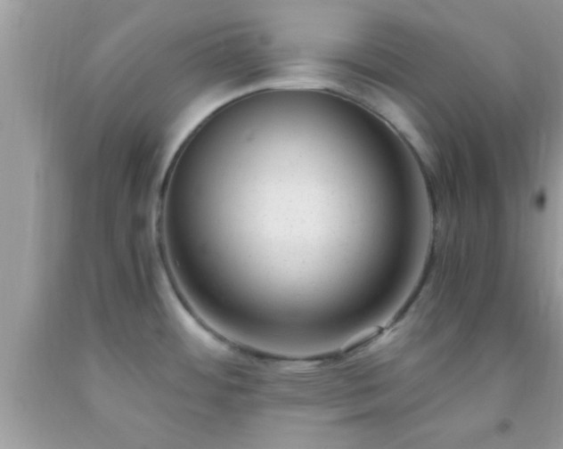 X0000093751484200710231222