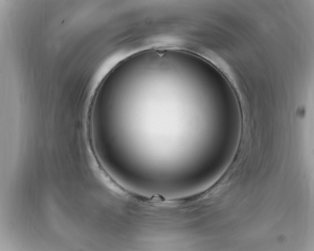 X0000093751488200710231222