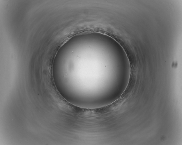 X0000093751489200710231221