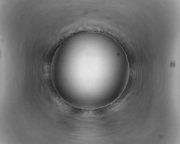 X0000093751490200710231221