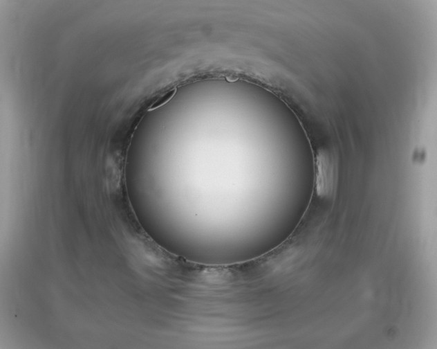 X0000093751491200710231221