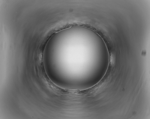 X0000093751492200710231221