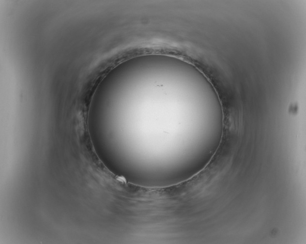 X0000093751493200710231221