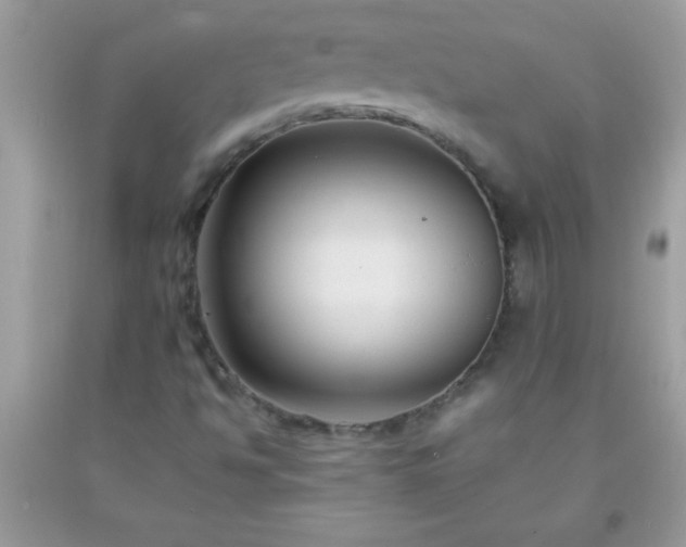 X0000093751494200710231221