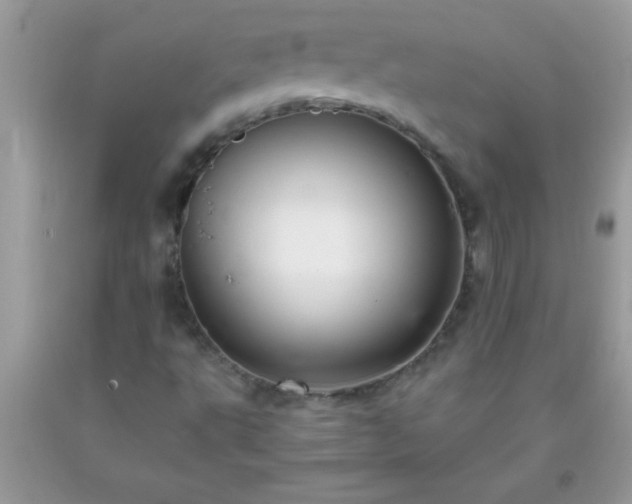 X0000093751495200710231221