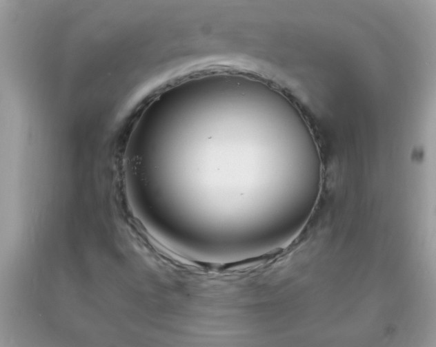 X0000093751496200710231221