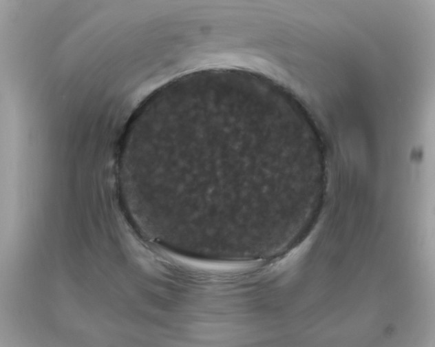 X0000093751497200710231221