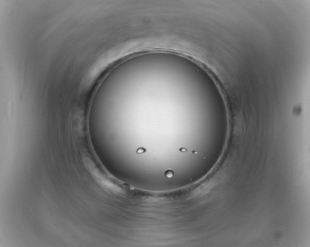 X0000093751499200710231221