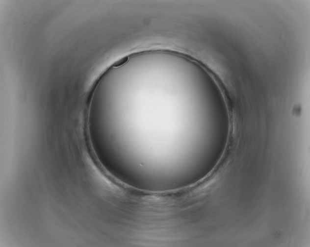 X0000093751500200710231221
