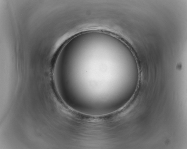 X0000093751501200710231222