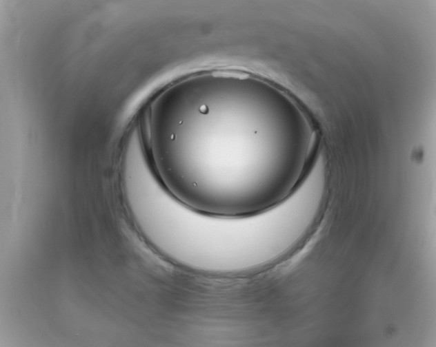 X0000093751502200710231222