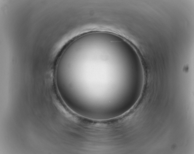 X0000093751503200710231222