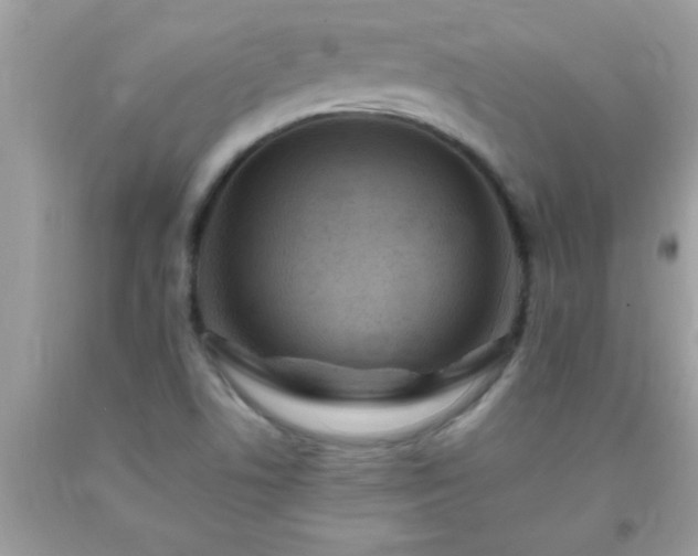 X0000093751506200710231222