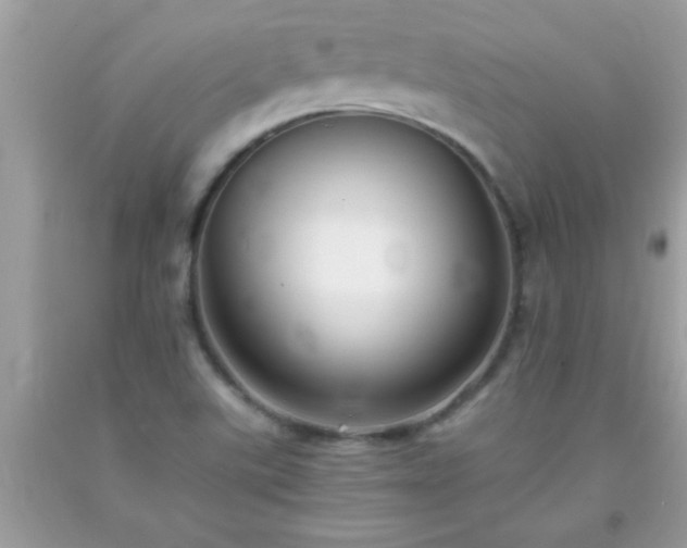 X0000093751507200710231222