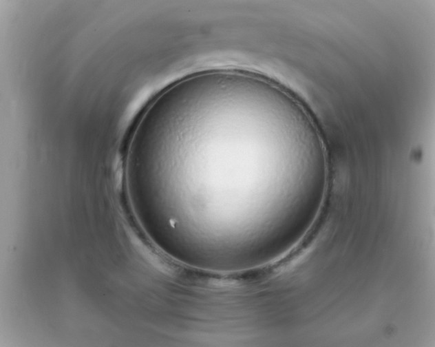 X0000093751509200710231222