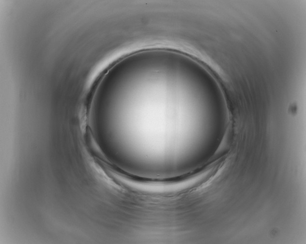 X0000093751510200710231222