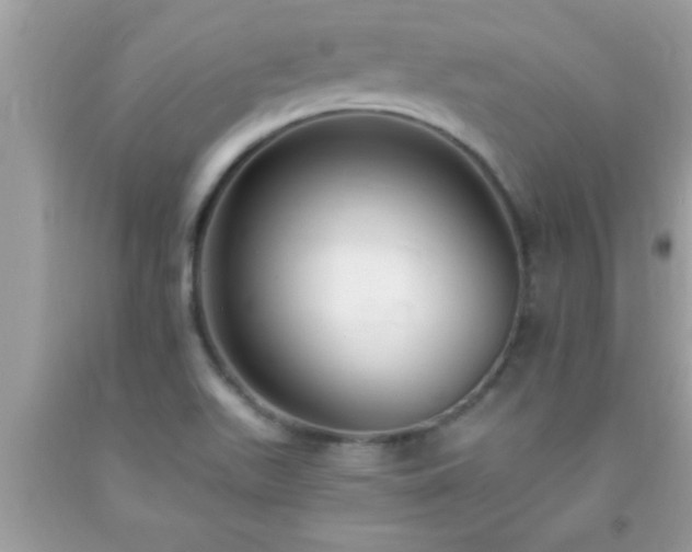 X0000093751511200710231222