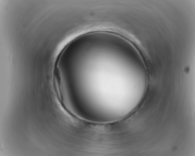 X0000093751512200710231222