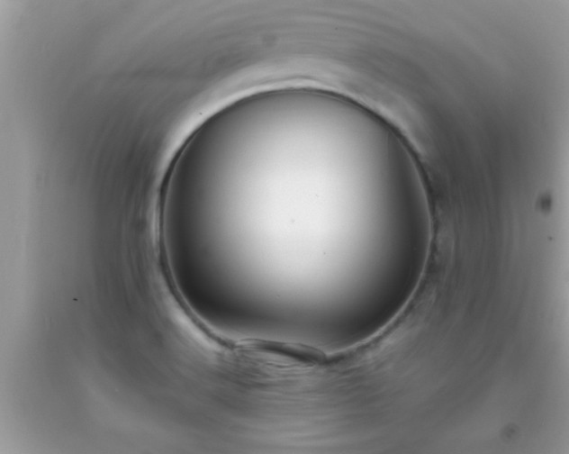 X0000093751516200710231222