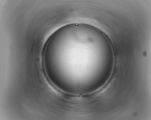 X0000093751517200710231222