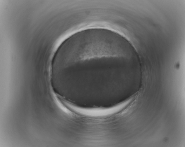 X0000093751519200710231222