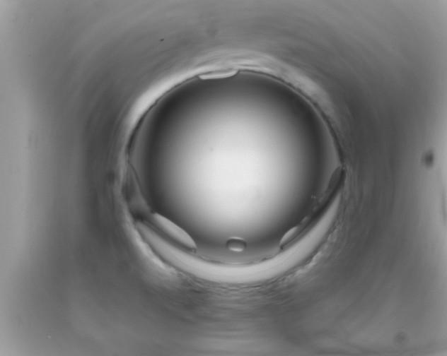 X0000093751520200710231222