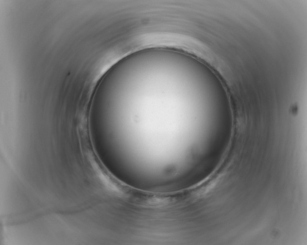 X0000093751521200710231222