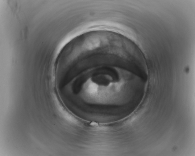X0000093751522200710231222