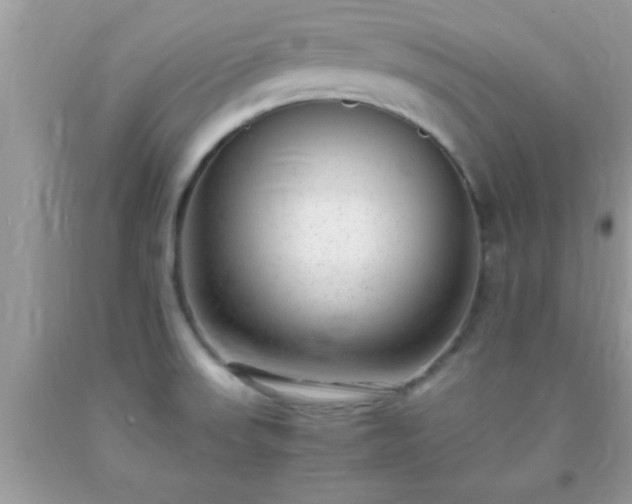 X0000093751523200710231222