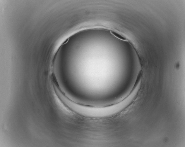 X0000093751524200710231222