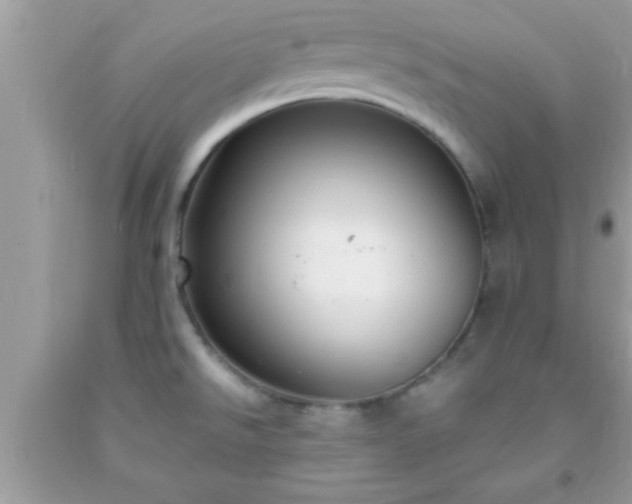 X0000093751526200710231222