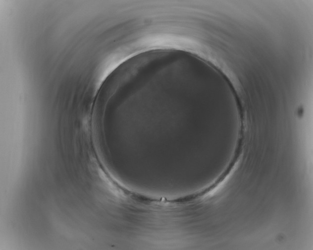 X0000093751529200710231222