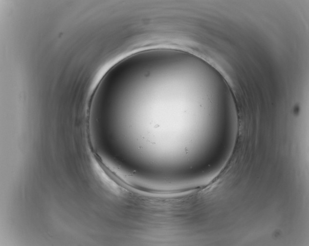 X0000093751532200710231222