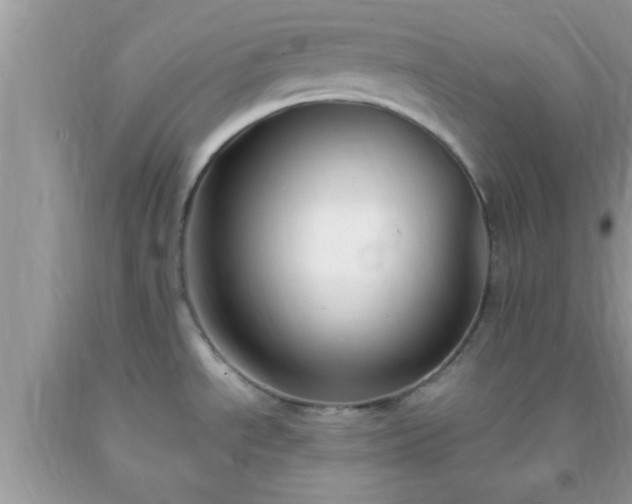 X0000093751534200710231222
