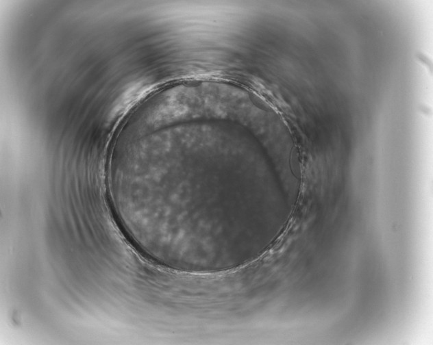 X0000093750002200710301134