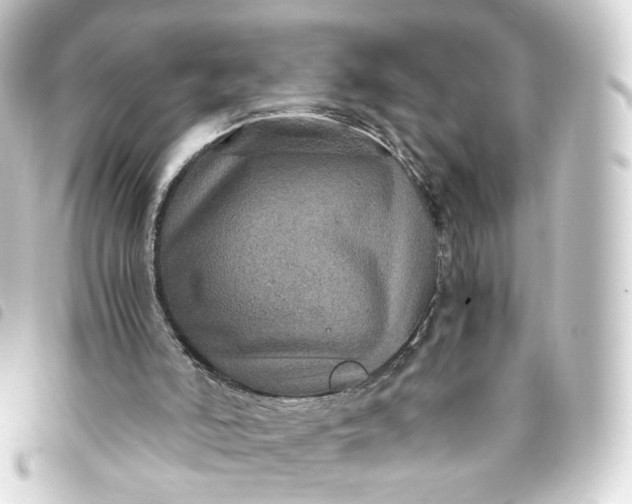 X0000093750006200710301133