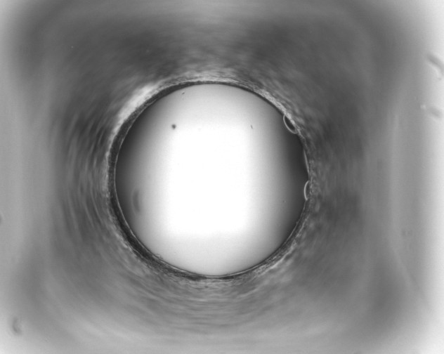 X0000093750008200710301133
