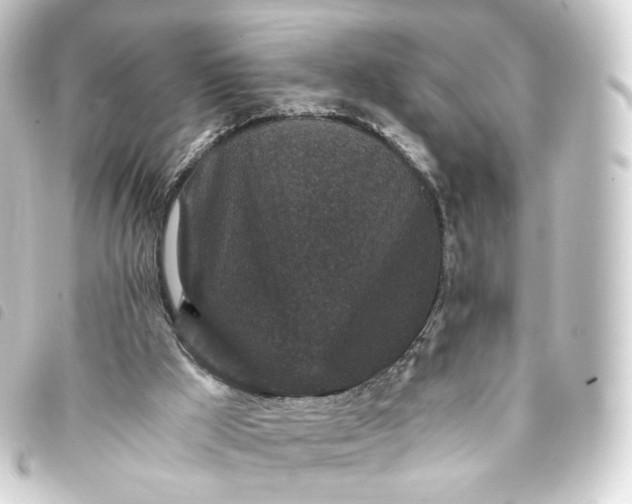 X0000093750009200710301133